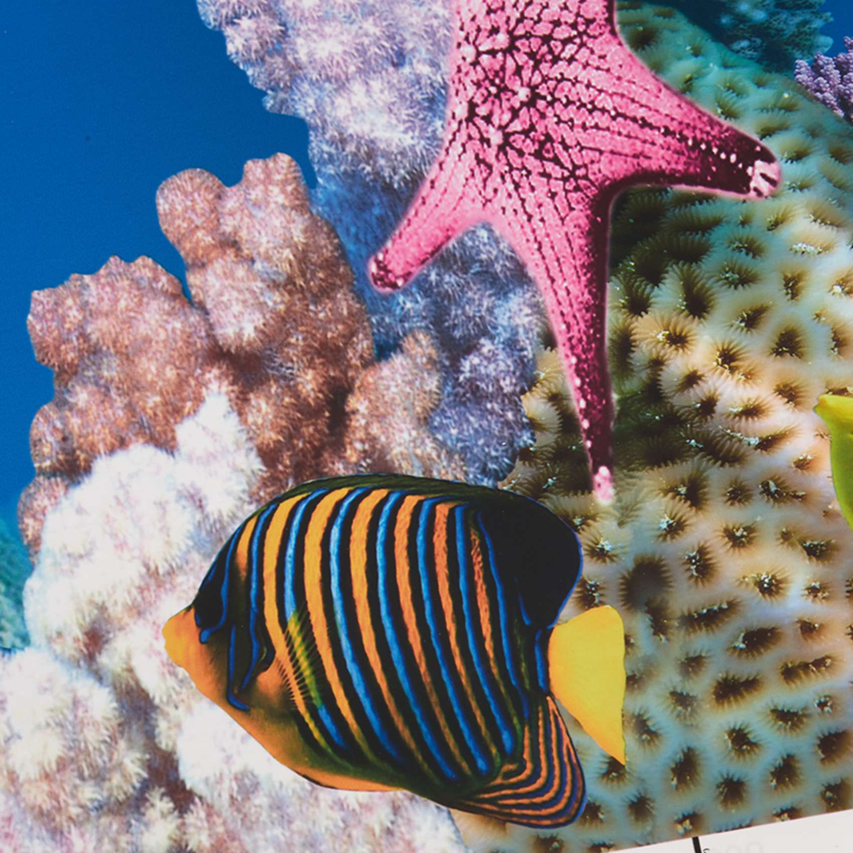 Aquarium Fish Wallpaper - ABWR-Aquarium Background Paper HD Picture 7D