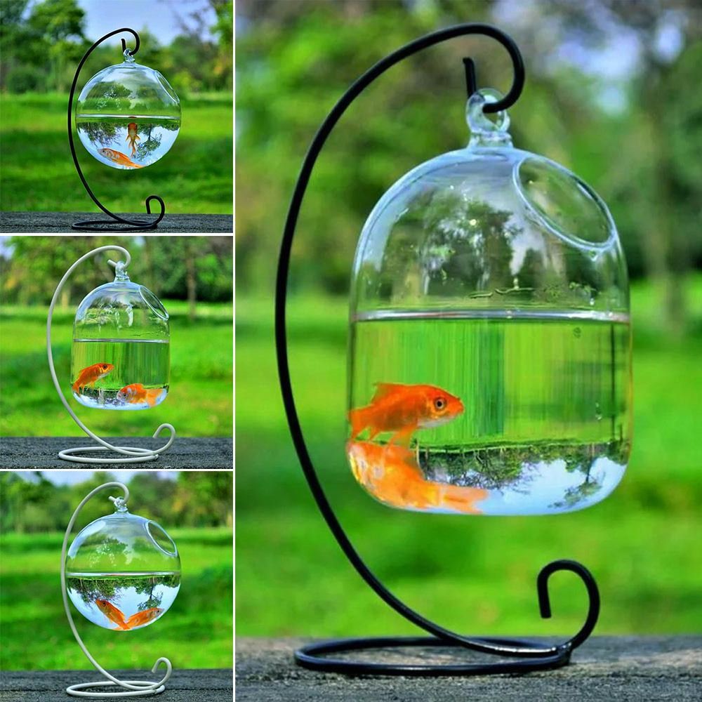 Aquarium Fish Jar - Aquarium Decoration Wall Hanging With Rack