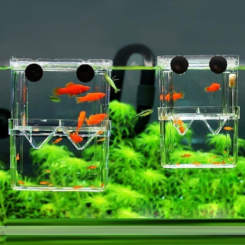 Aquarium Fish Jar - Multifunctional Fish Aquarium High Clear Fish