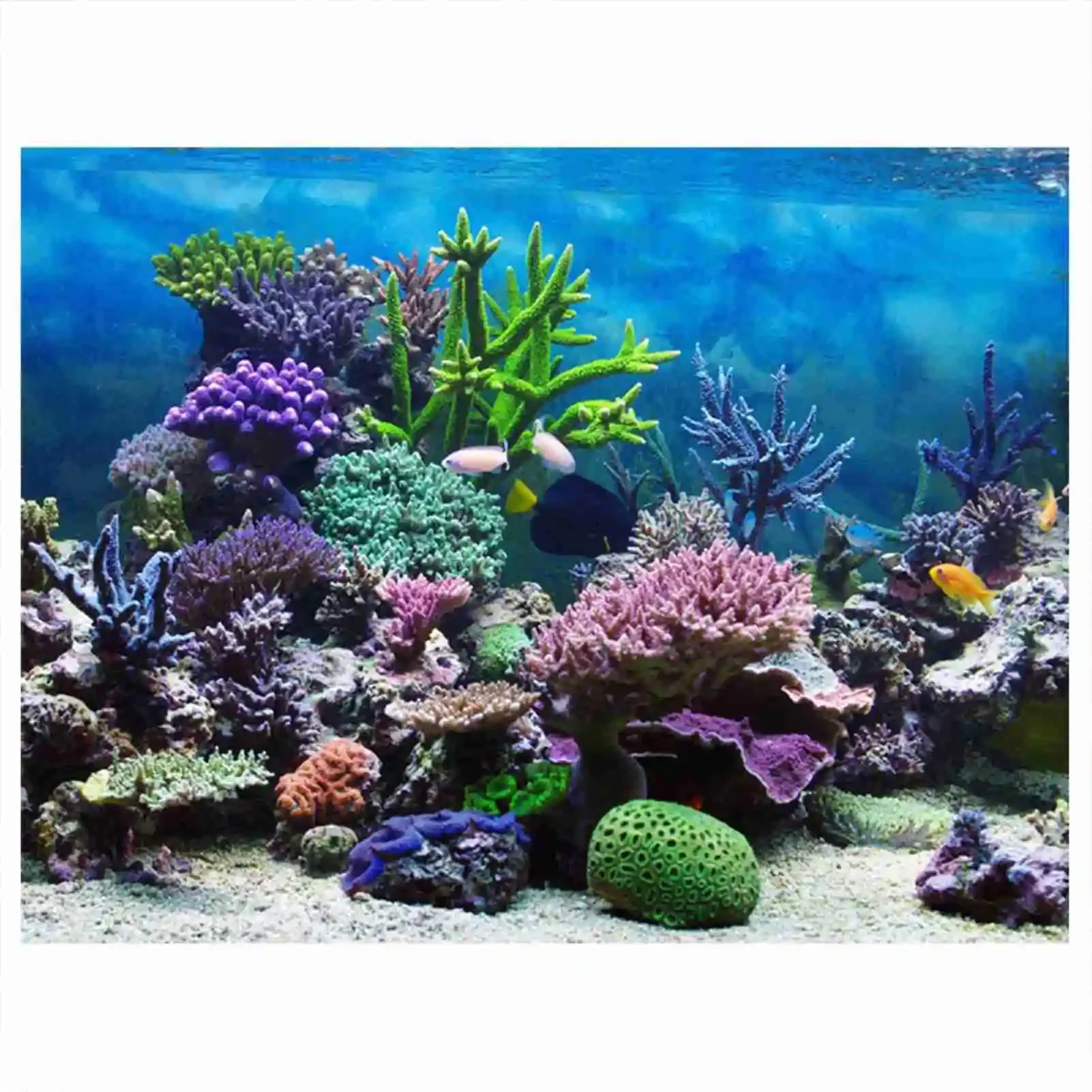 Aquarium Fish Wallpaper - 3D Aquarium Landscape Poster Rainforest Wallpaper