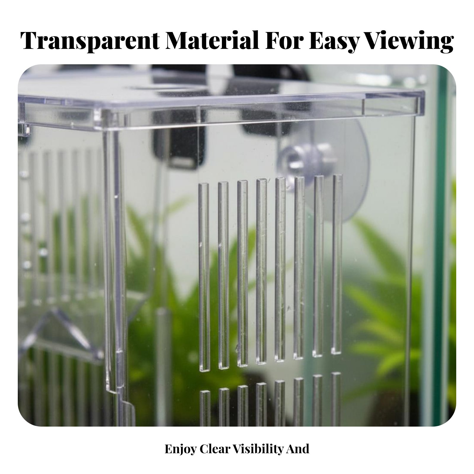 Aquatic Habitat Hatchery Box P - Aquarium Fish Guppy 评论和价格