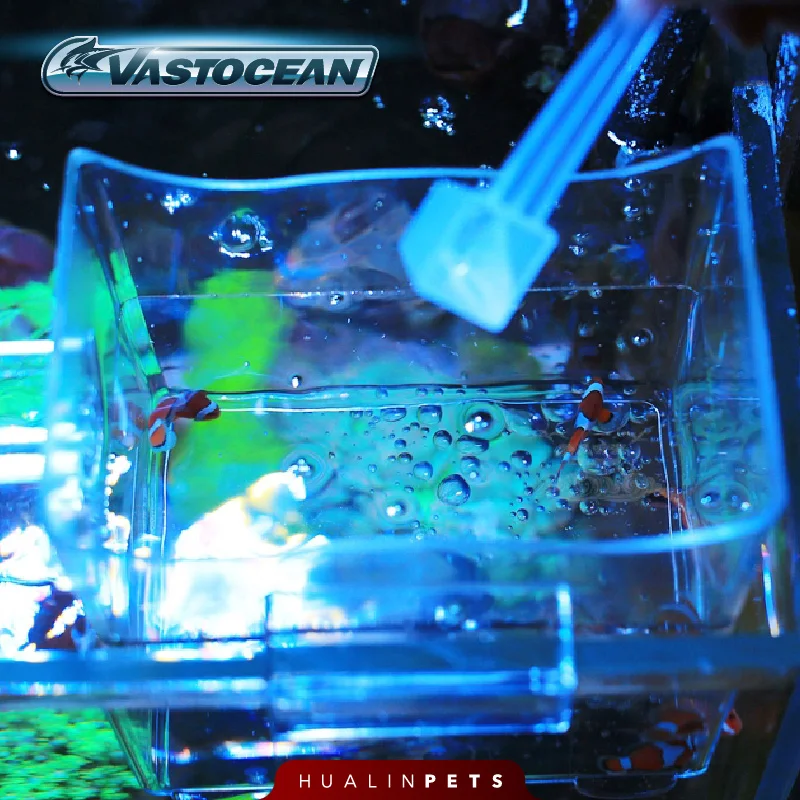 Vastocean Aquarium Multifuncti - Aquarium Fish Jar 评论和价格