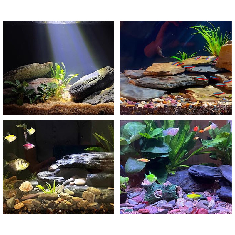 500/1000g Fish Tank Landscape  - Aquarium Fish Guppy 评论和价格
