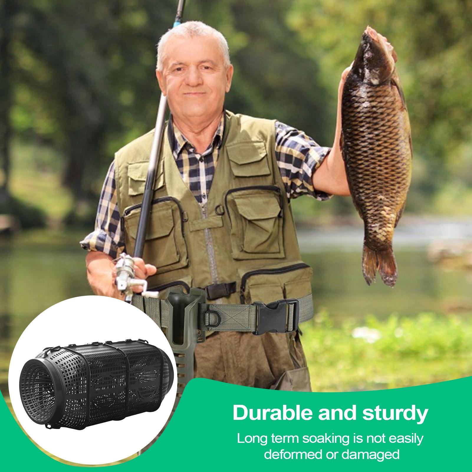 Fish Trap Portable Minnow Trap - Aquarium Fish Escape 评论和价格
