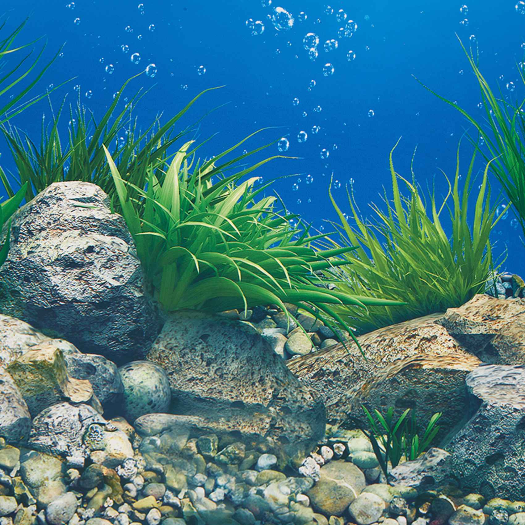 ABWR-Aquarium Background Paper - Aquarium Fish Wallpaper 评论和价格