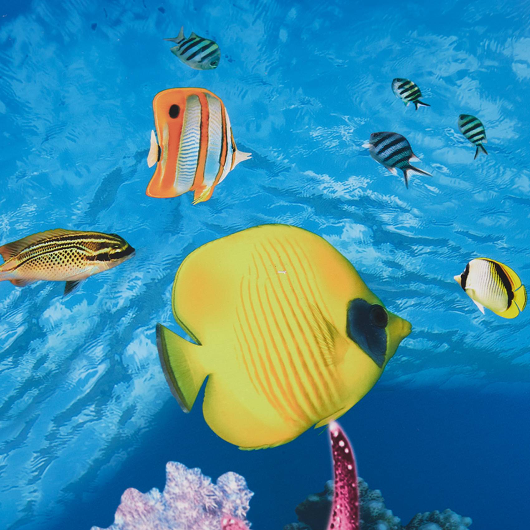 ABWR-Aquarium Background Paper - Aquarium Fish Wallpaper 评论和价格