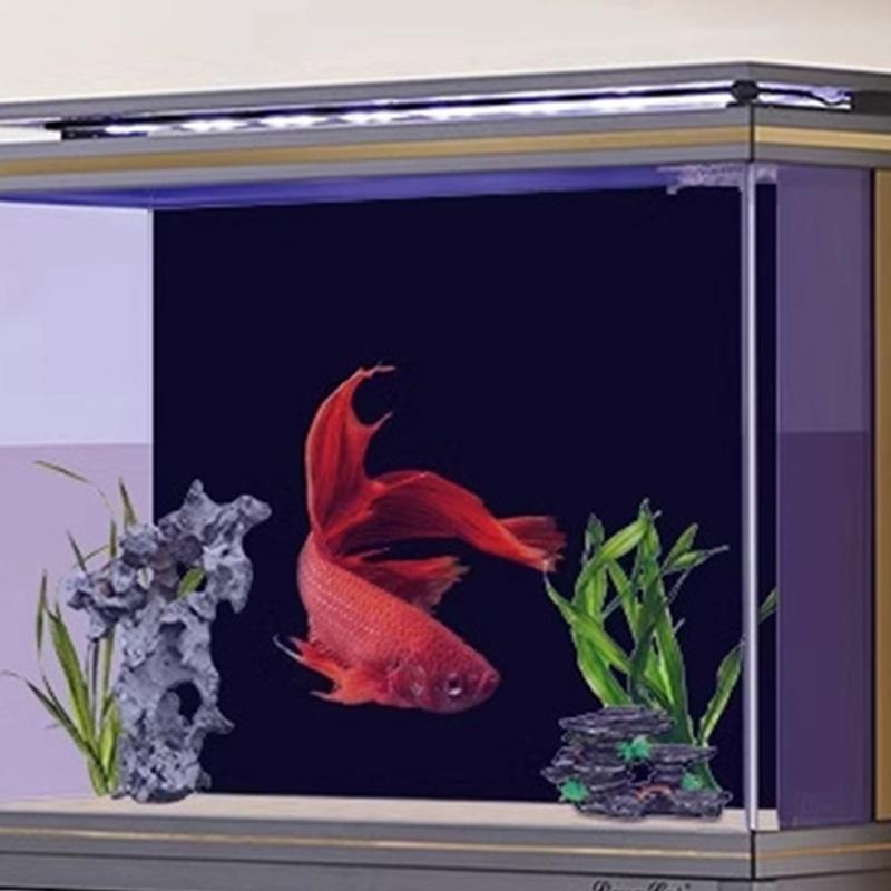 Black Aquarium Background Wall - Aquarium Fish Wallpaper 评论和价格