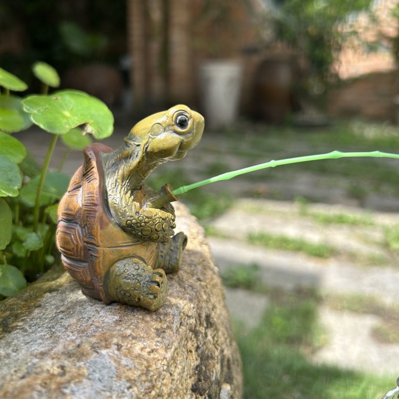 Turtle fishing fish tank aquar - Aquarium Fish Guppy 评论和价格