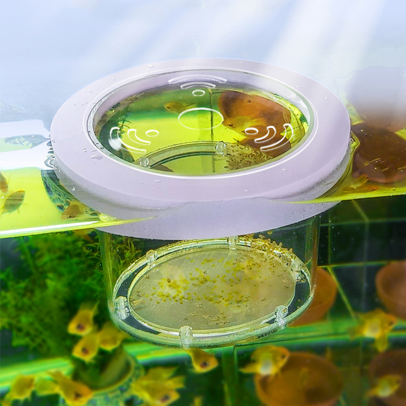 Suspended Fish Tank Breeding I - Aquarium Fish And Supplies 评论和价格