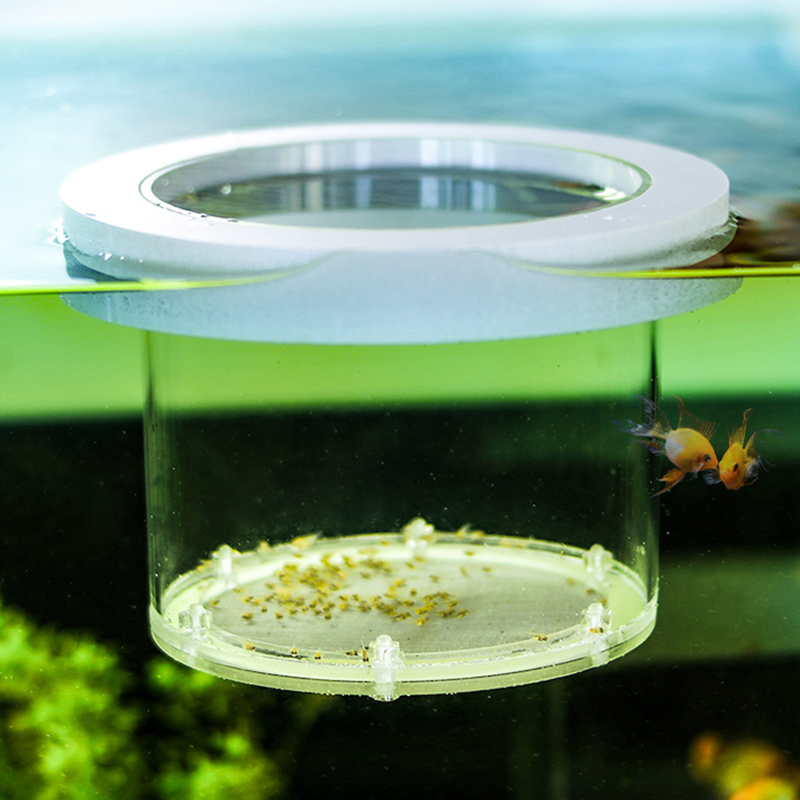 Suspended Fish Tank Breeding I - Aquarium Fish And Supplies 评论和价格