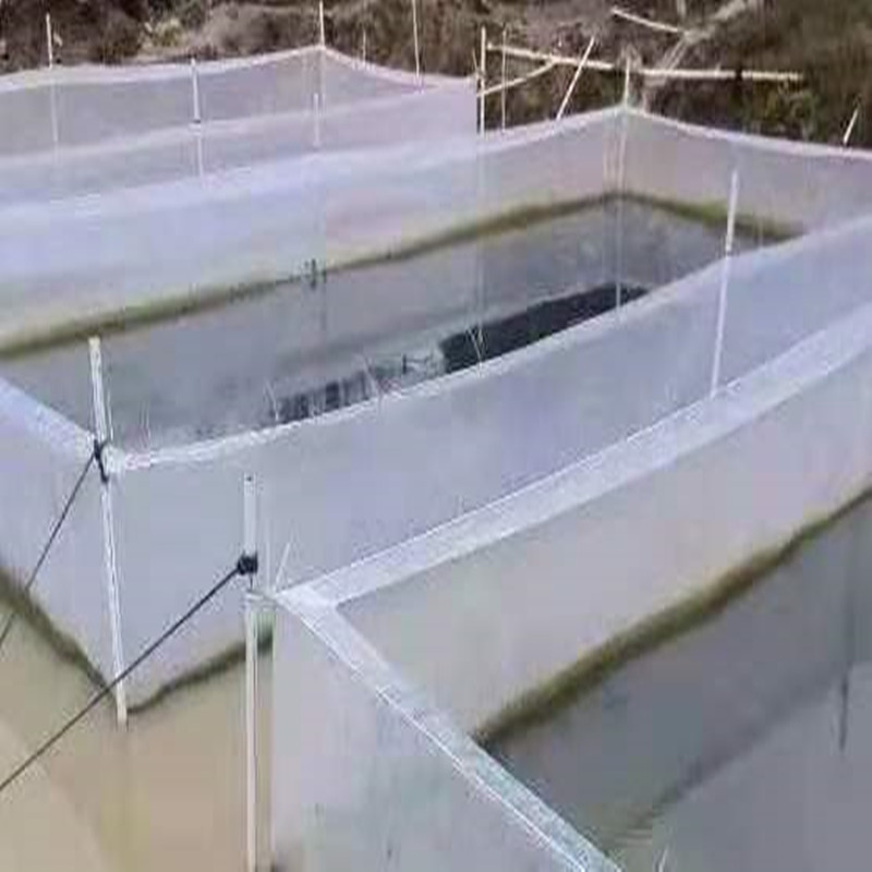 White Anti Escape net Cage eel - Aquarium Fish Escape 评论和价格