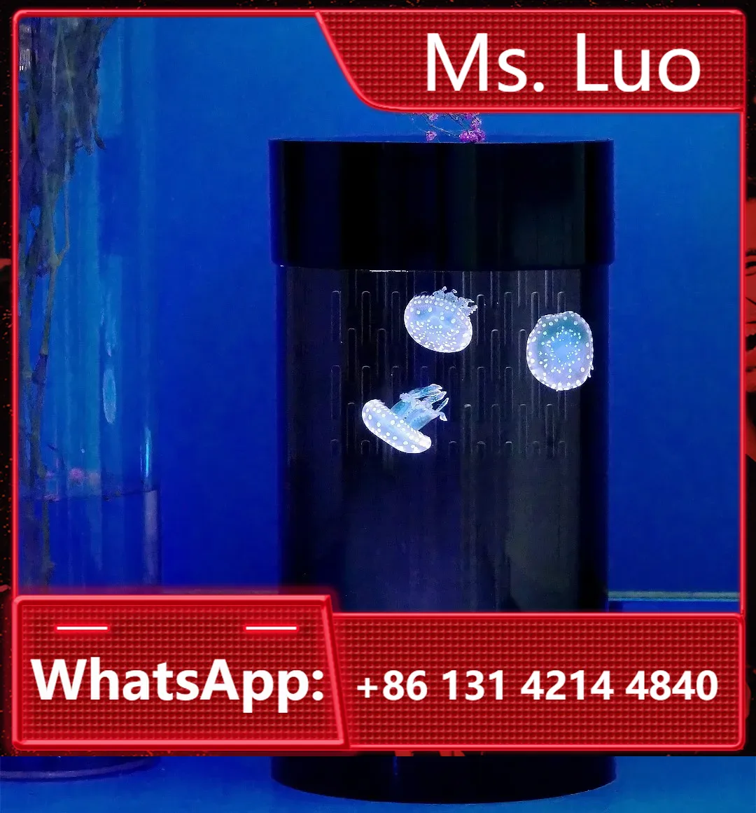 Best Amazon Sales Jellyfish Ta - Aquarium Fish Amazon 评论和价格