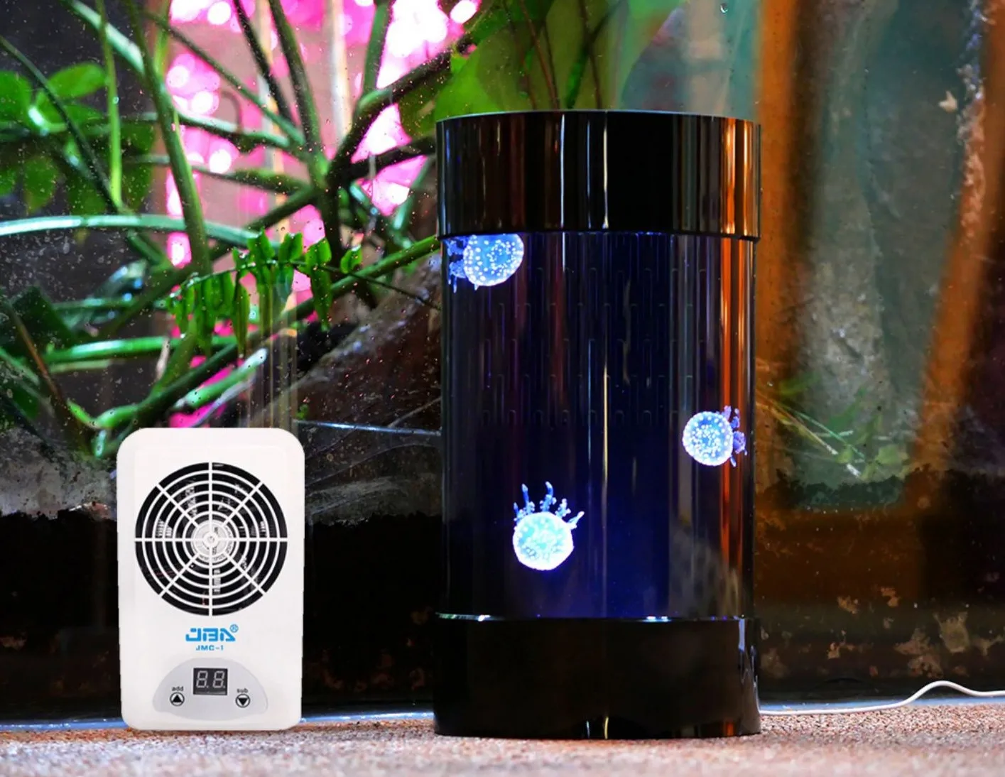 Best Amazon Sales Jellyfish Ta - Aquarium Fish Amazon 评论和价格