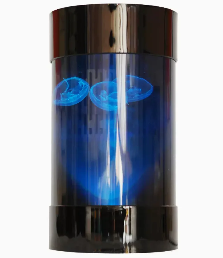 Best Amazon Sales Jellyfish Ta - Aquarium Fish Amazon 评论和价格