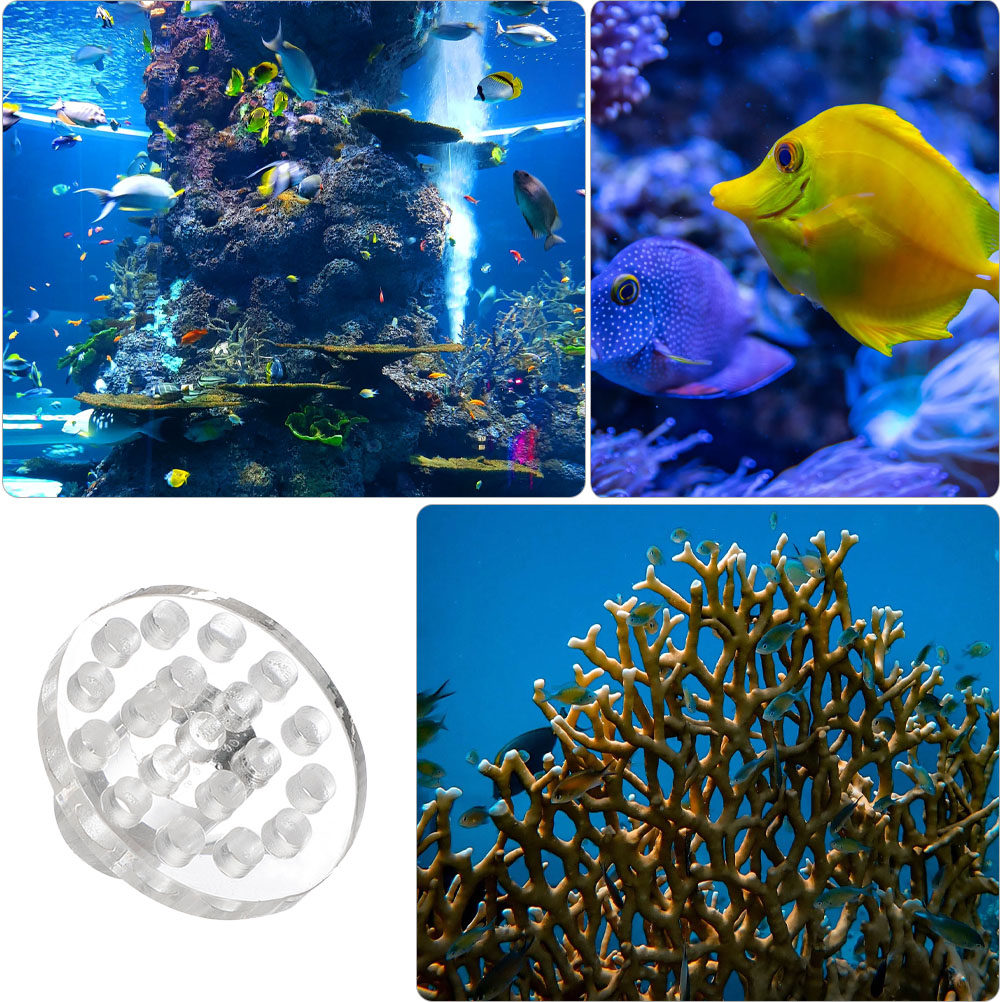 10Pcs Acrylic Coral Frag Rack  - Aquarium Fish And Supplies 评论和价格