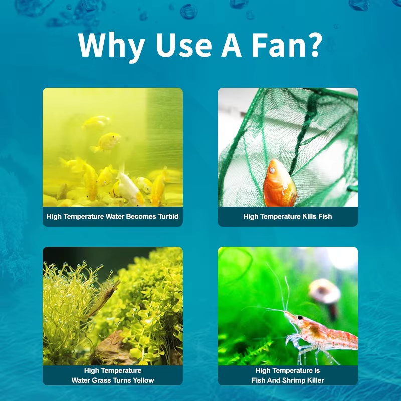 Jebao Jecod ACF Series Aquariu - Fish Co Aquarium 评论和价格