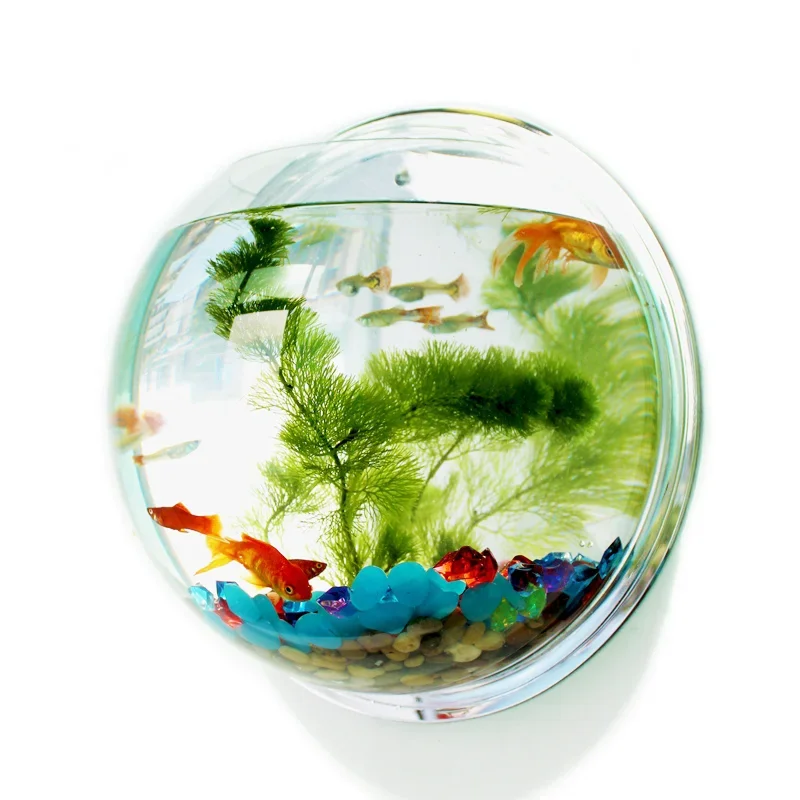 Pinsjar Acrylic Fish Bowl Wall - Aquarium Fish Jar 评论和价格