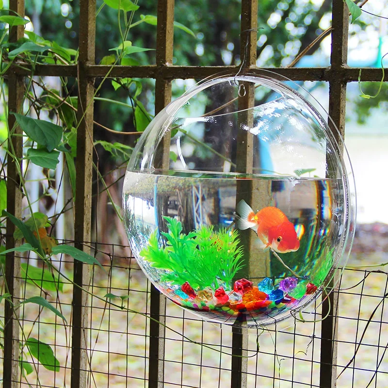Pinsjar Acrylic Fish Bowl Wall - Aquarium Fish Jar 评论和价格