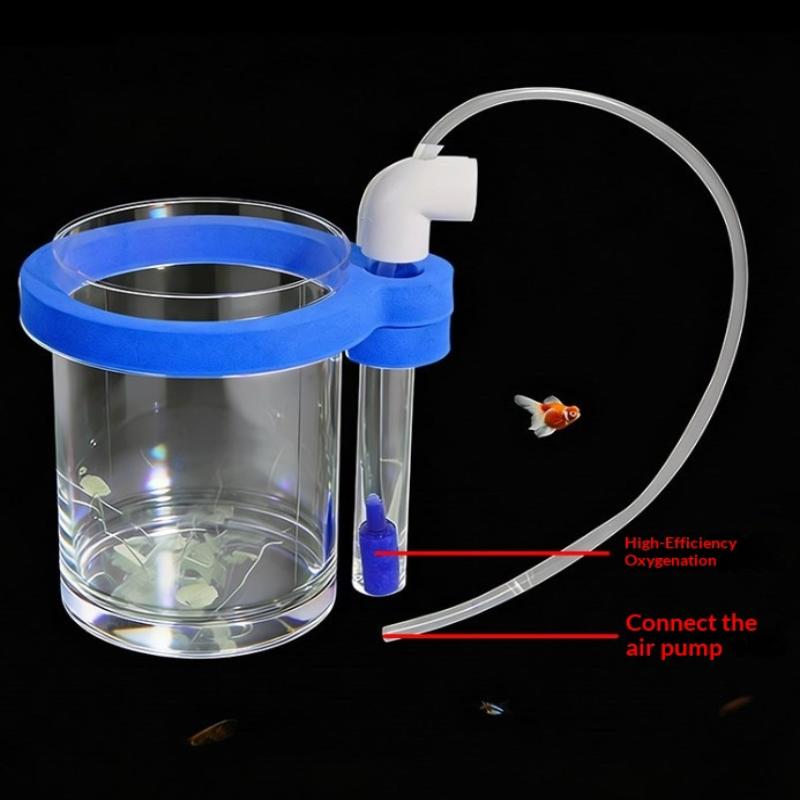 Transparent Acrylic Fish Breed - Aquarium Fish Jar 评论和价格