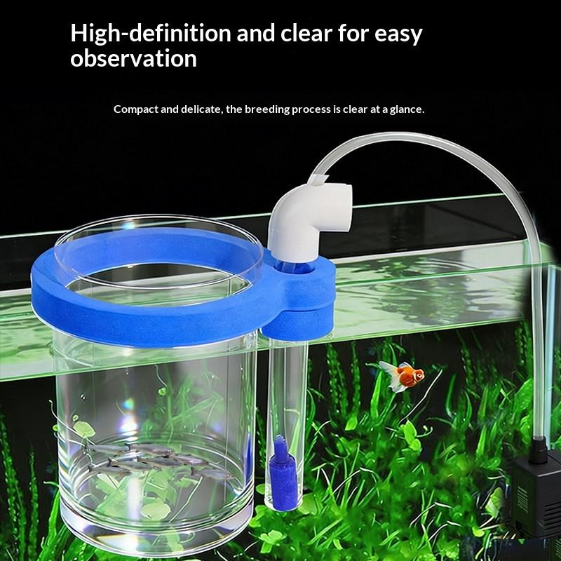 Transparent Acrylic Fish Breed - Aquarium Fish Jar 评论和价格