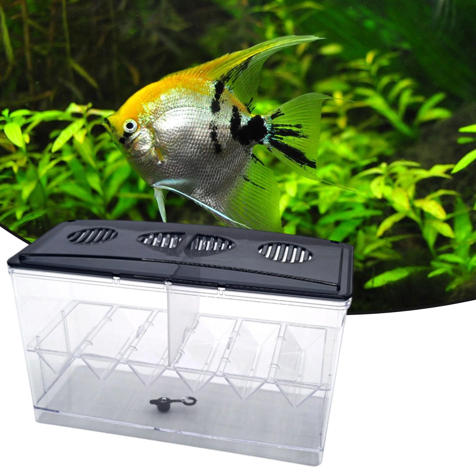 Floating Fish Breeding Isolati - Aquarium Fish Jar 评论和价格
