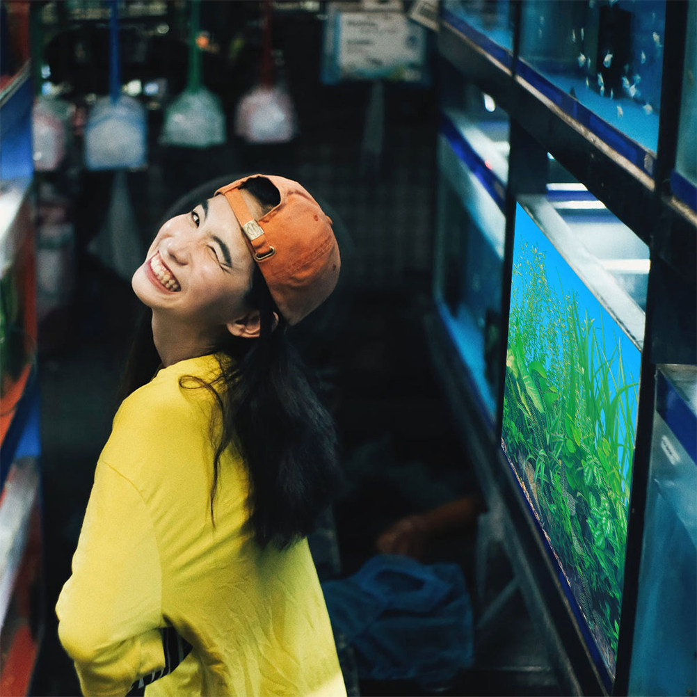 Fish Tank Background Paper Thi - Aquarium Fish Wallpaper 评论和价格