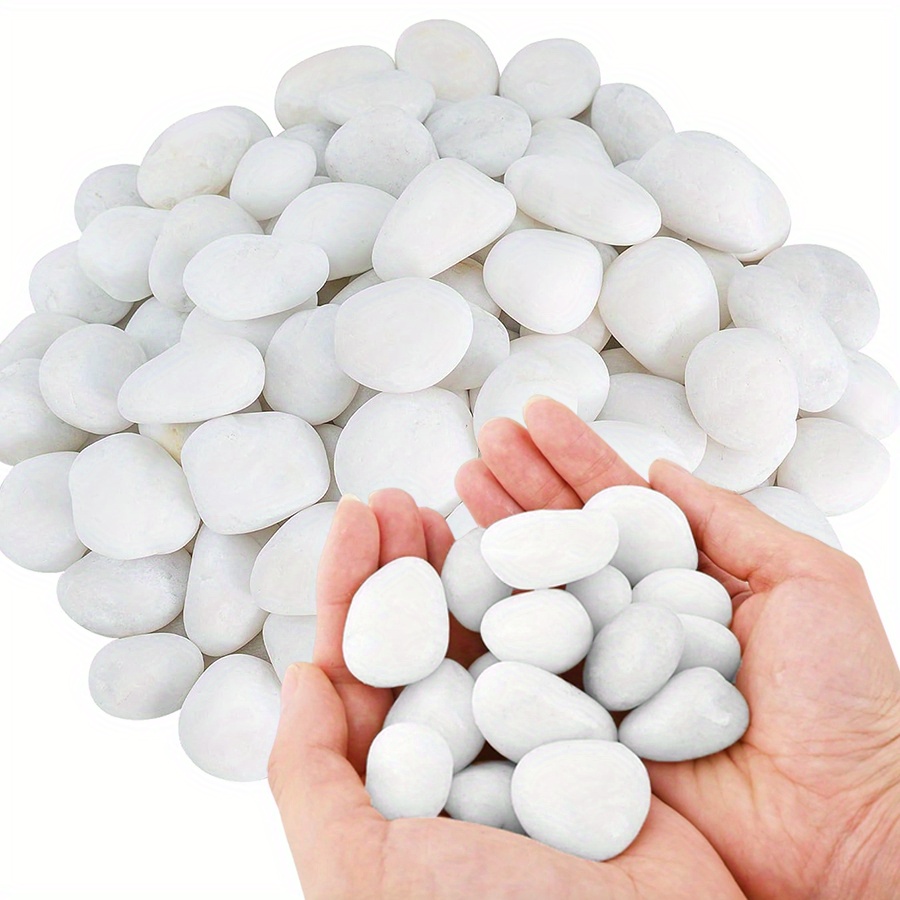 200/400g White High Polished N - Aquarium Fish Guppy 评论和价格