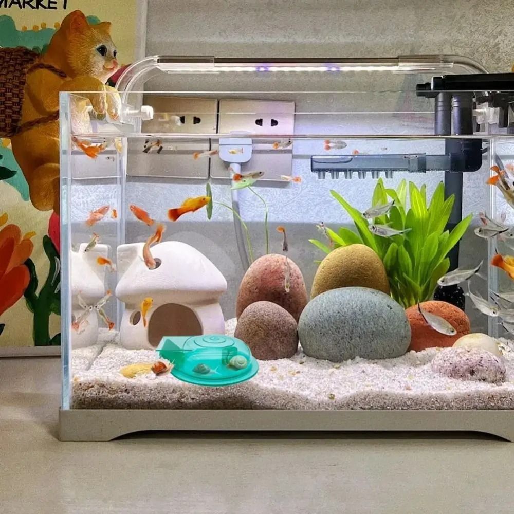 Freshwater Saltwater Aquarium  - Aquarium Fish Escape 评论和价格
