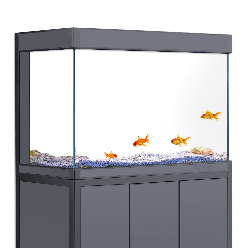 Aquarium Background Static Cli - Aquarium Fish Wallpaper 评论和价格
