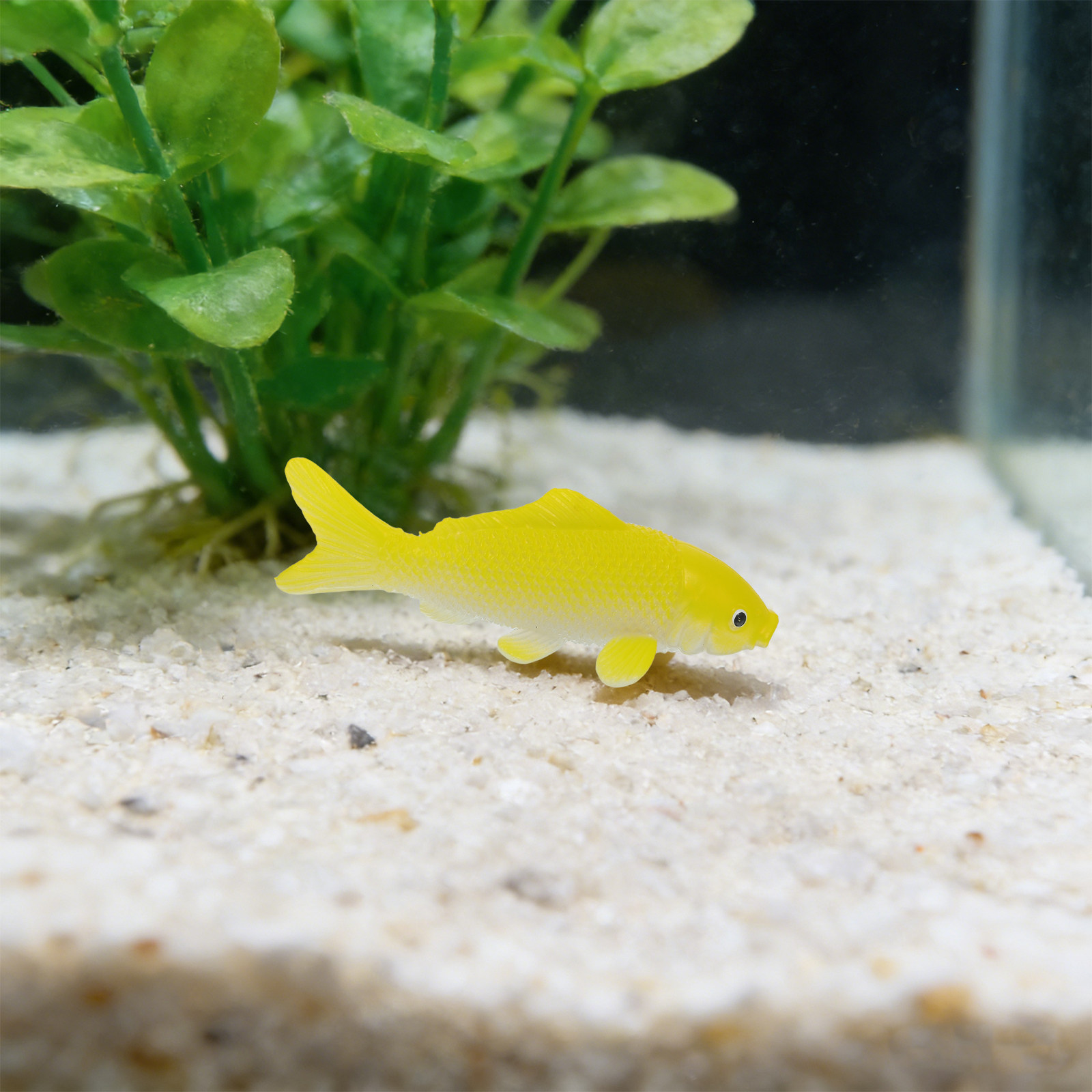 3pcs Fish Crafts Toys Realisti - Aquarium Fish Home 评论和价格