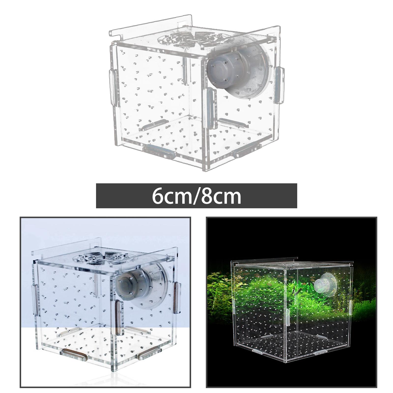 Fish Breeder Box Clear Durable - Aquarium Fish Jar 评论和价格