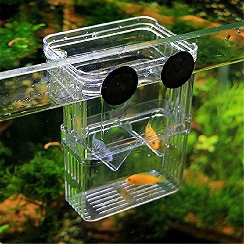 Multifunctional Fish Aquarium  - Aquarium Fish Jar 评论和价格