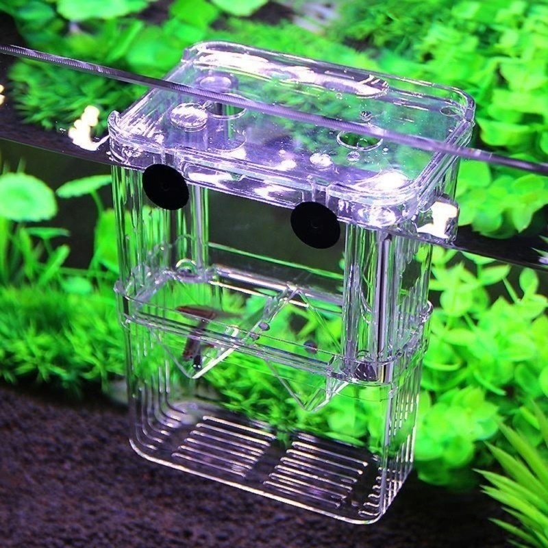 Multifunctional Fish Aquarium  - Aquarium Fish Jar 评论和价格