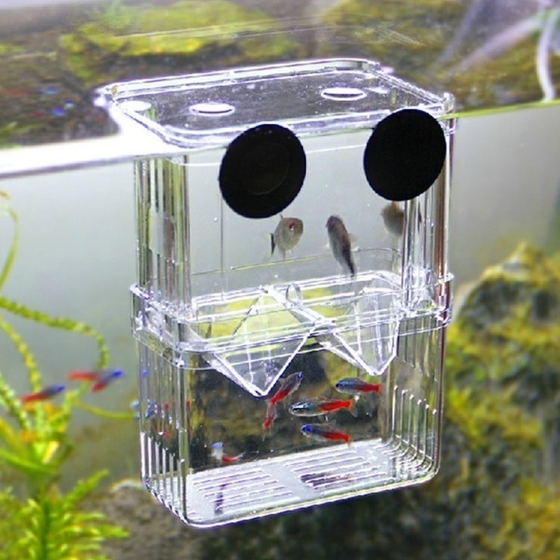 Multifunctional Fish Aquarium  - Aquarium Fish Jar 评论和价格