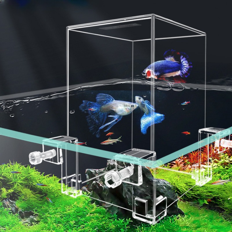 Creative Aquarium Tanks Negati - Aquarium Fish Jar 评论和价格