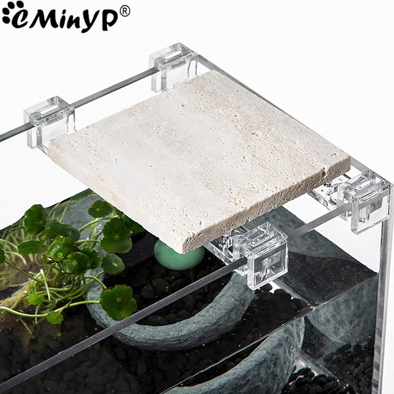 4Pcs Fish Tank Acrylic Clips f - Aquarium Fish And Supplies 评论和价格
