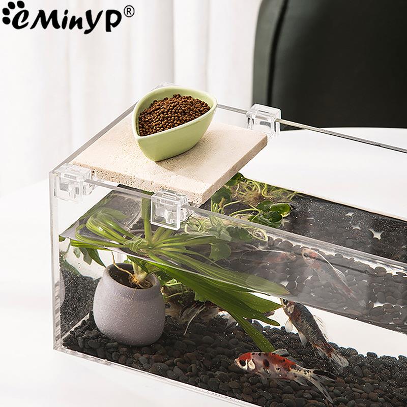4Pcs Fish Tank Acrylic Clips f - Aquarium Fish And Supplies 评论和价格