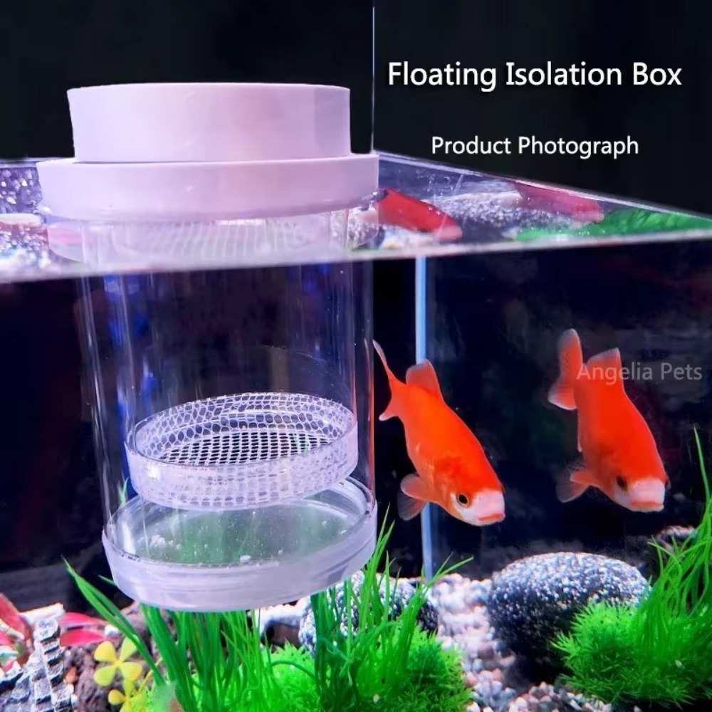 Plastic Floating Fish Breeding - Aquarium Fish Jar 评论和价格