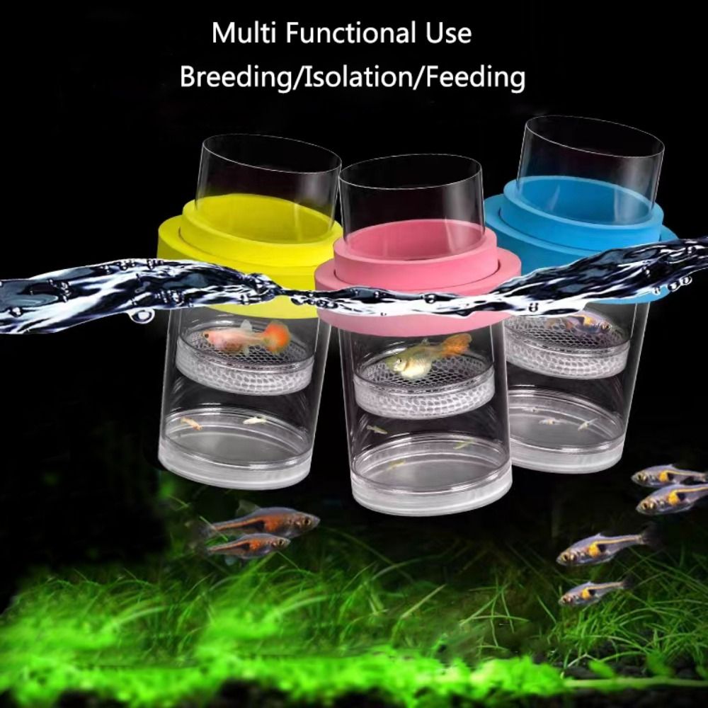 Plastic Floating Fish Breeding - Aquarium Fish Jar 评论和价格