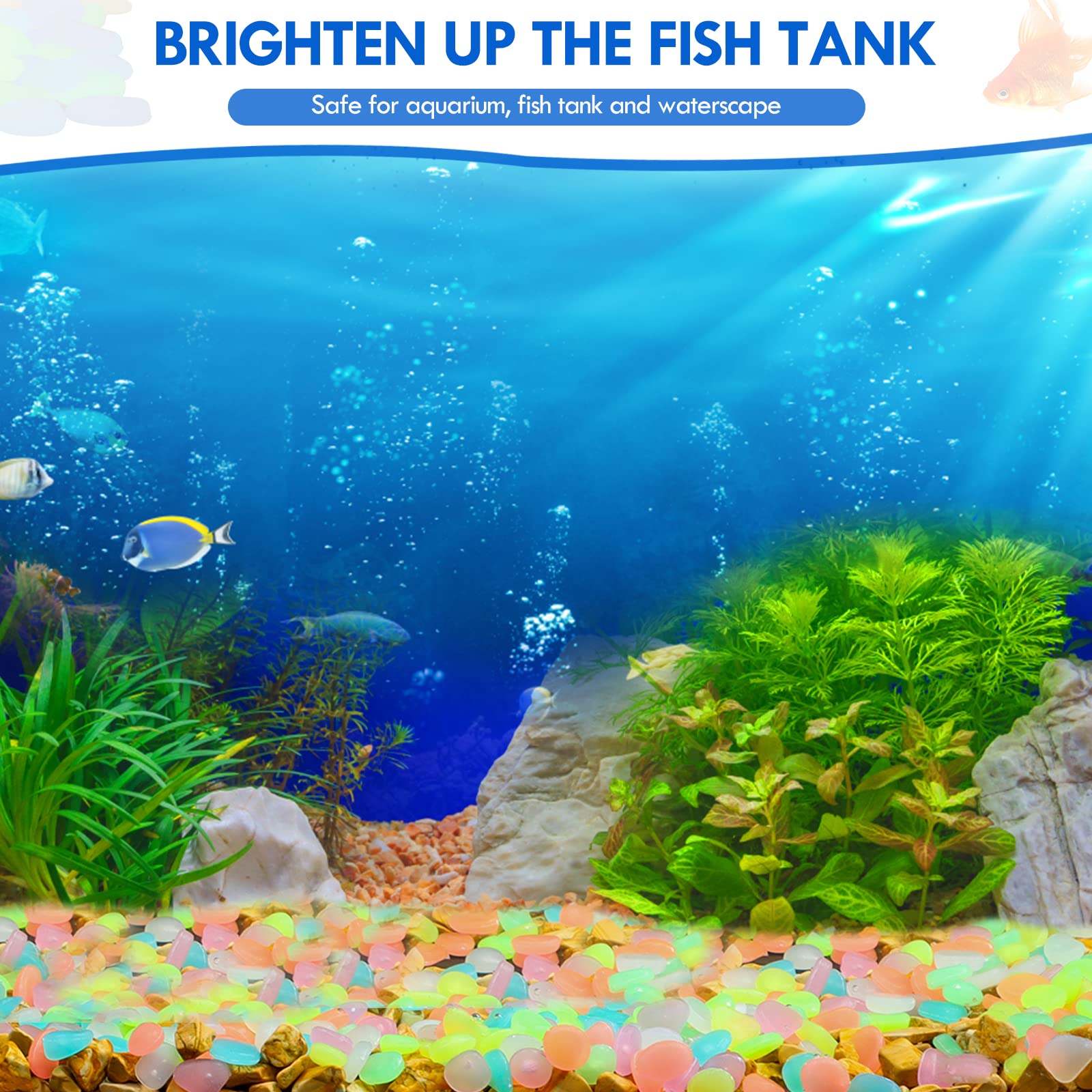 100Pcs Glow in the Dark Garden - Aquarium Fish Guppy 评论和价格