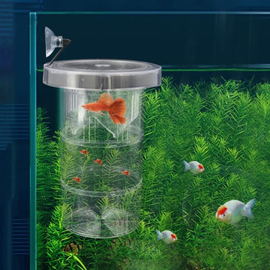 Acrylic Floating Fish Breeding - Aquarium Fish Escape 评论和价格