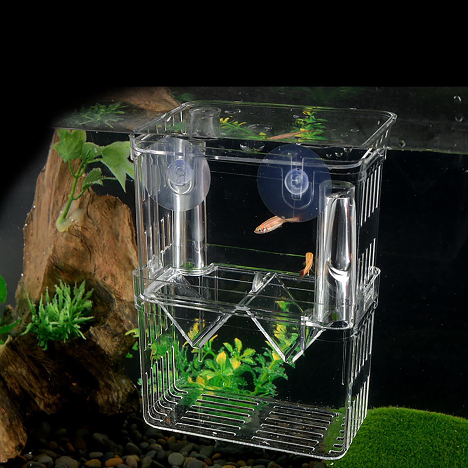 Breeder Box for Fish Tank Tran - Aquarium Fish Jar 评论和价格
