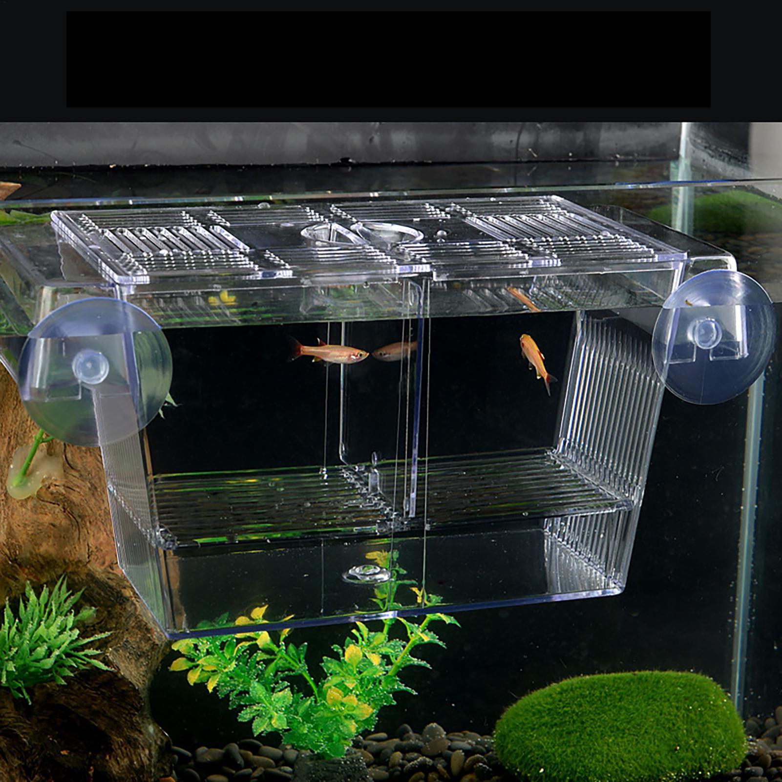 Breeder Box for Fish Tank Tran - Aquarium Fish Jar 评论和价格