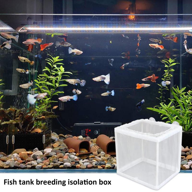 Fish Breeder Box with Suction, - Aquarium Fish Jar 评论和价格
