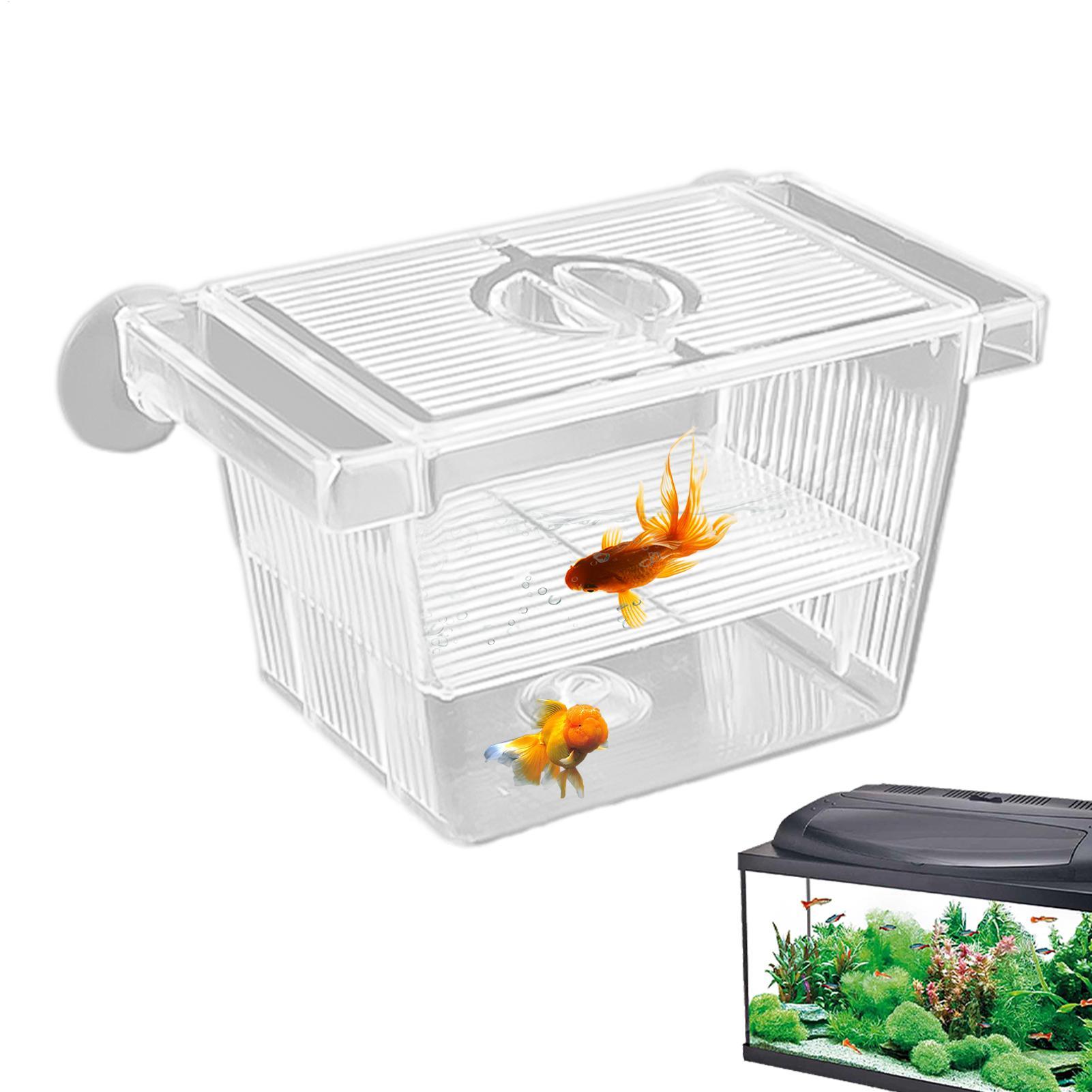 Aquarium Hatchery Acrylic Isol - Aquarium Fish Jar 评论和价格
