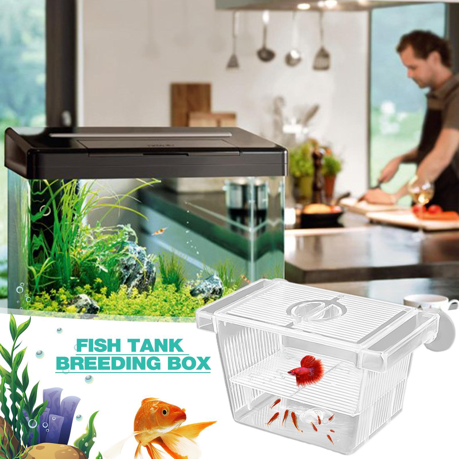 Aquarium Hatchery Acrylic Isol - Aquarium Fish Jar 评论和价格