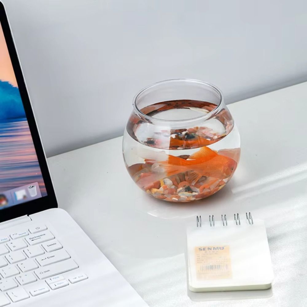 New Transparent Fish Tank Roun - Aquarium Fish Jar 评论和价格