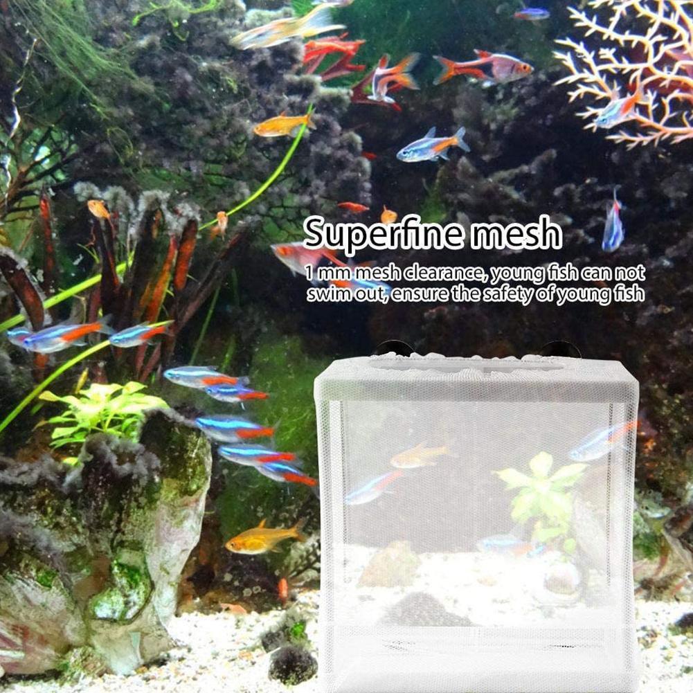 Hatchery Isolation Box for Aqu - Aquarium Fish Jar 评论和价格