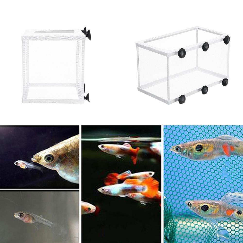 Hatchery Isolation Box for Aqu - Aquarium Fish Jar 评论和价格