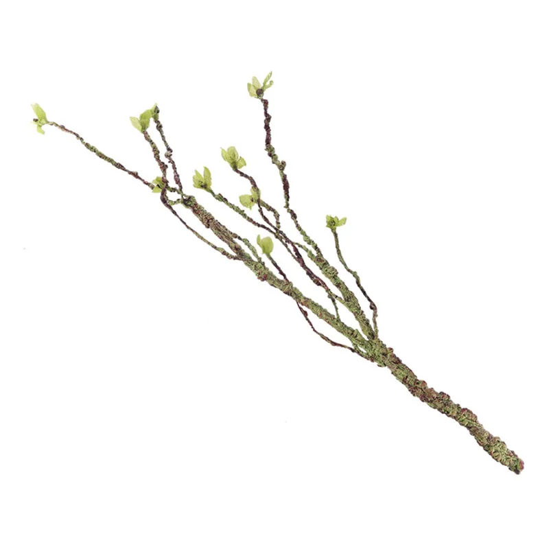 Vines Decor Climbing Branches  - Aquarium Fish Guppy 评论和价格
